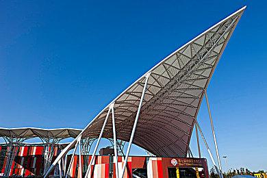 《宝可梦：朱＆紫》升级补丁效果成谜 玩家意见分两派